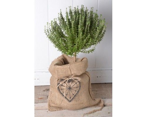 trend billede af en hessiansæk fra ib laursen