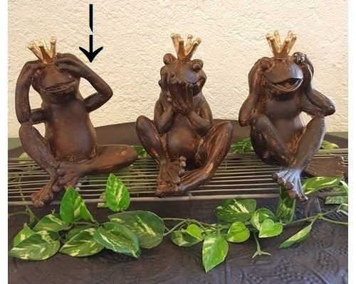 ikke se figur frø
