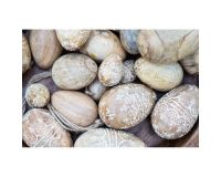 Trend billede af et træ påskeæg fra ib laursen