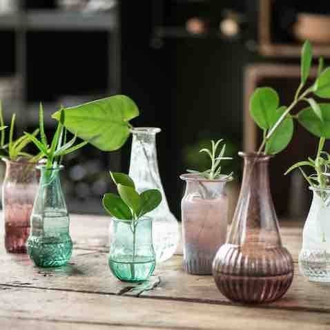 Glasting til hjemmet