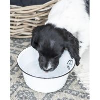 Emaljeskål til hunden hvid og sort foderskål vandskål fra ib laursen