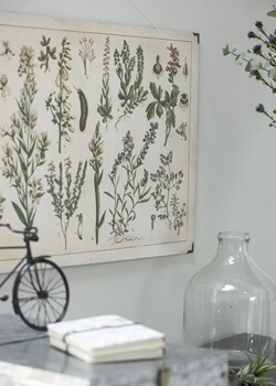 Tendensen er plakater og billeder med planter Tendensen er plakater med planter