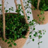 kurv til ophæng jute til planter