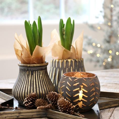 Glas urtepotter som fyrfadsstage fra chic antique