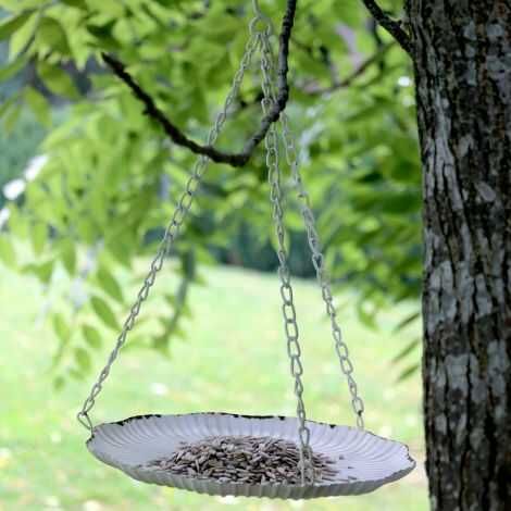 Hænge foderbræt hængt op i et træ i haven med mad til fuglene