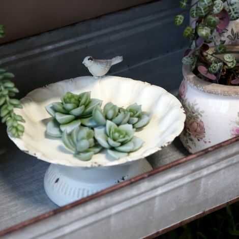 Fuglebad metal dekoreret med små planter
