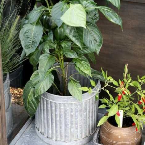 Urtepotteskjuler i zink til planter stor højde 28 Ø 35 cm