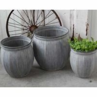 Zinkpotte til haven med blomster og planter den lille på billedet