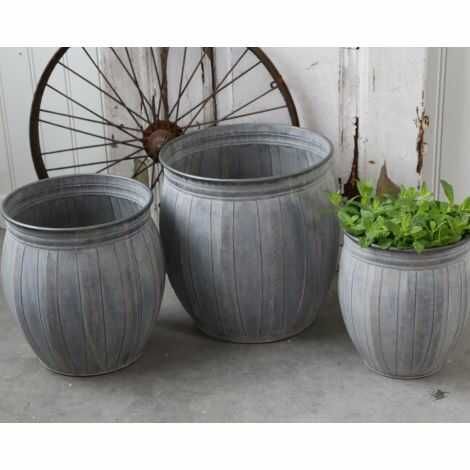 Zinkpotte til haven med blomster og planter den lille på billedet