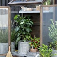 urtepotteskjuler med håndtag til haven her brugt i drivhuset med tomatplante
