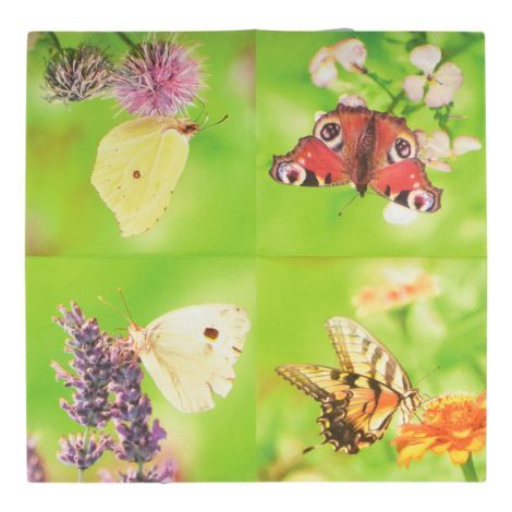 Papirserviet med sommerfugle tema til borddækningen 33x33 cm. 20 stk pr pakke