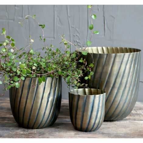 Potte til planter her med en fin grøn plante