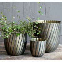 Plantekrukke til ude eller inde til planter og blomster her med en fin grøn plante