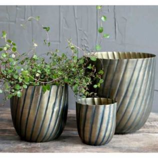 Plantekrukke til ude eller inde til planter og blomster her med en fin grøn plante