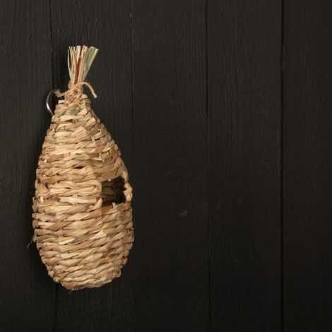 Gærdesmutte rede ophæng på have hegn hvor fuglene kan beskytte sig imod vind og vejr og opfostre deres unger