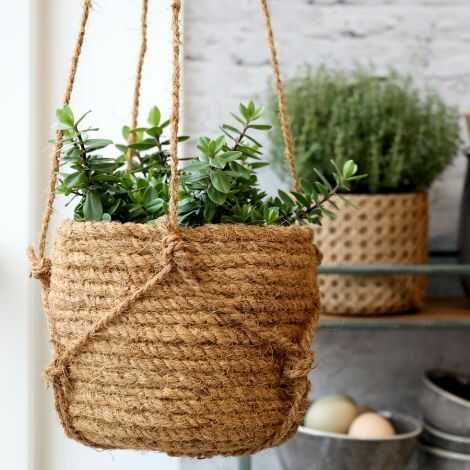 Hængeskjuler med grøn plante ophængt i hjemmet indendørs